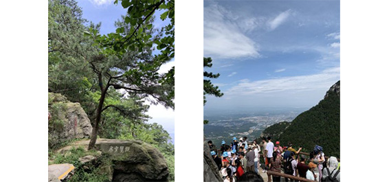 江蘇泰隆減速機(jī)股份有限公司 江蘇泰隆減速機(jī)股份有限公司